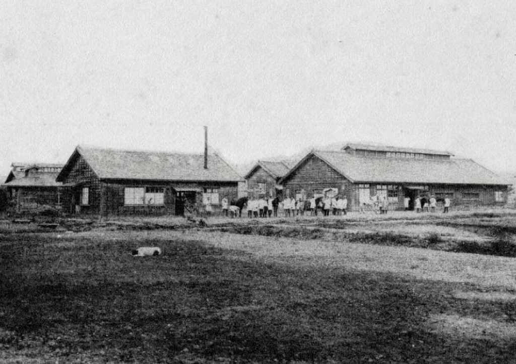 Comunidade rural japonesa no pós-guerra — a reconstrução sanitária e os surtos de cinomose contribuíram para reduzir drasticamente as populações caninas japonesas