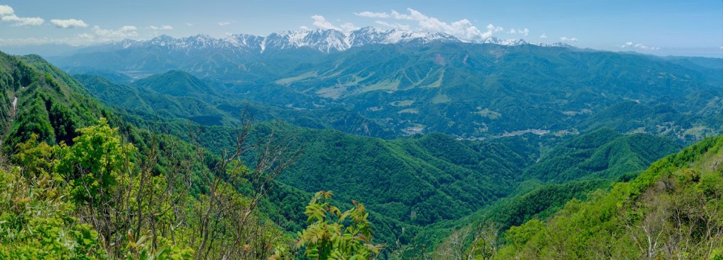 Panorama das montanhas japonesas cobertas por florestas densas com picos nevados ao fundo — a geografia montanhosa do Japão isolou populações caninas e favoreceu a preservação de tipos regionais