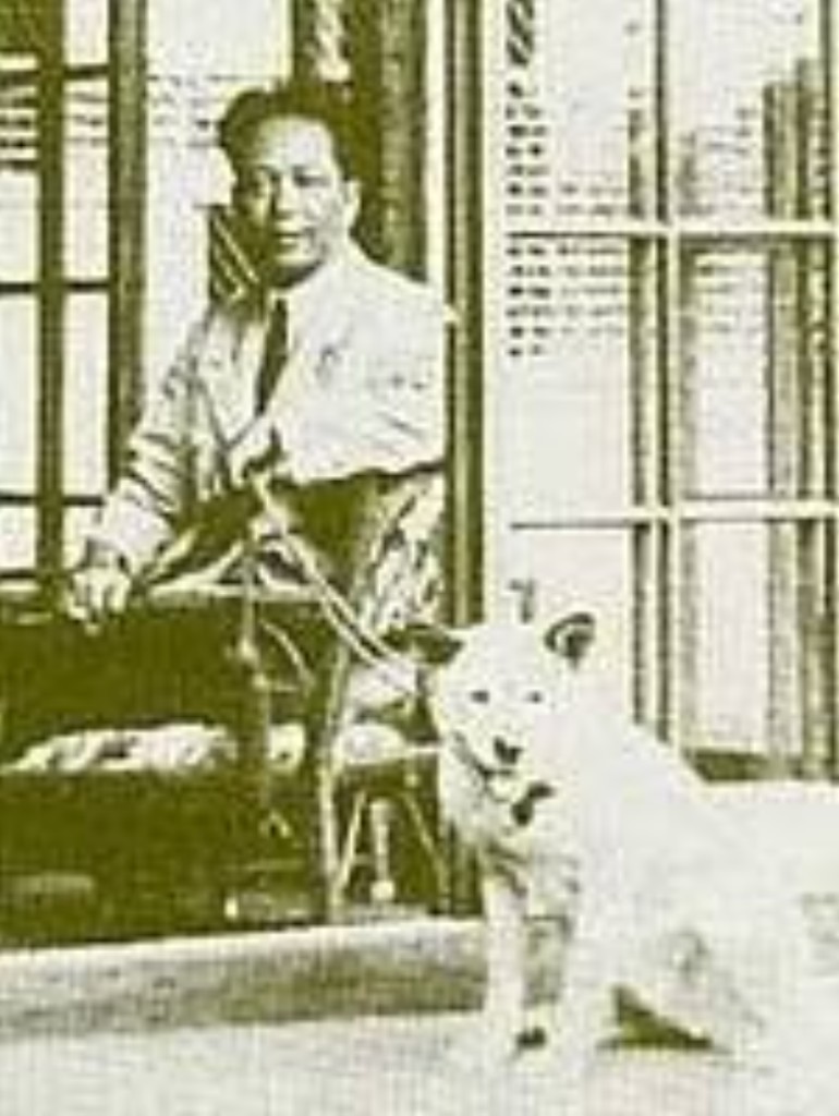 Hirokichi Saitō com um cão japonês nativo — fundador da NIPPO e principal responsável pelo movimento de preservação dos cães japoneses no início do século XX