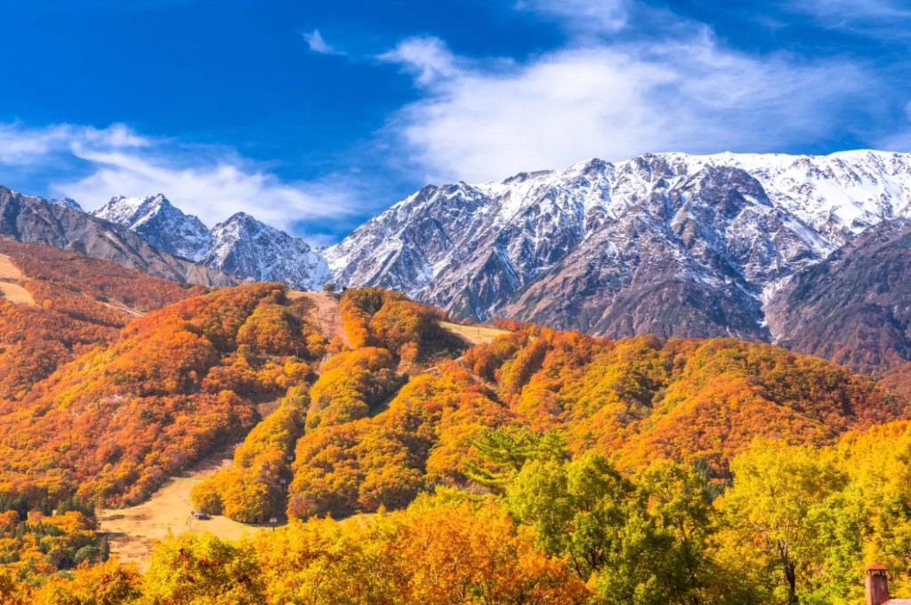 Montanhas de Nagano no outono com picos nevados — antiga província de Shinshu onde se desenvolveu uma das linhagens ancestrais do Shiba Inu