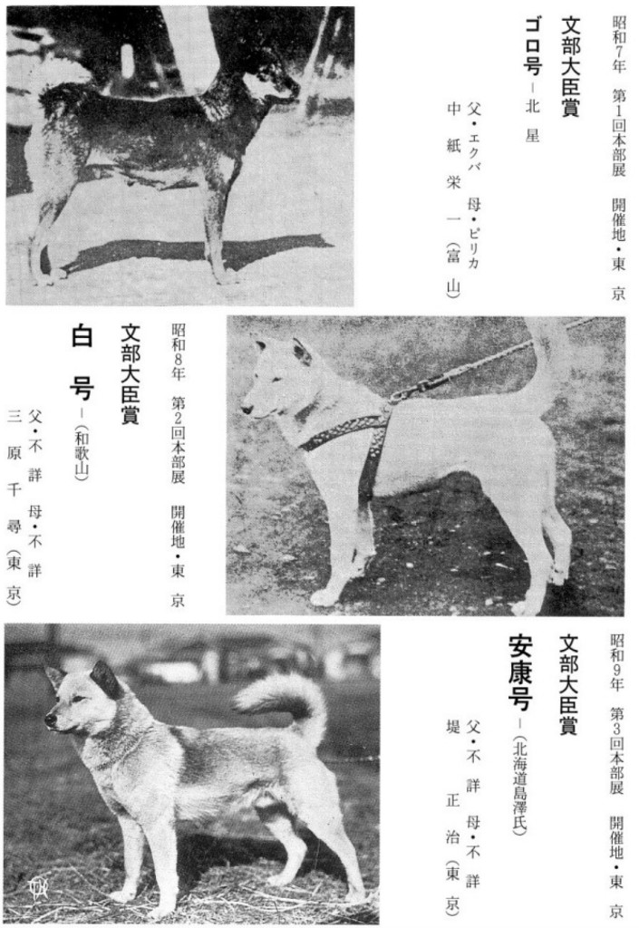 Primeiros vencedores das exposições NIPPO com registros em japonês — cães que ajudaram a definir o padrão Nihon Ken Standard em 1934