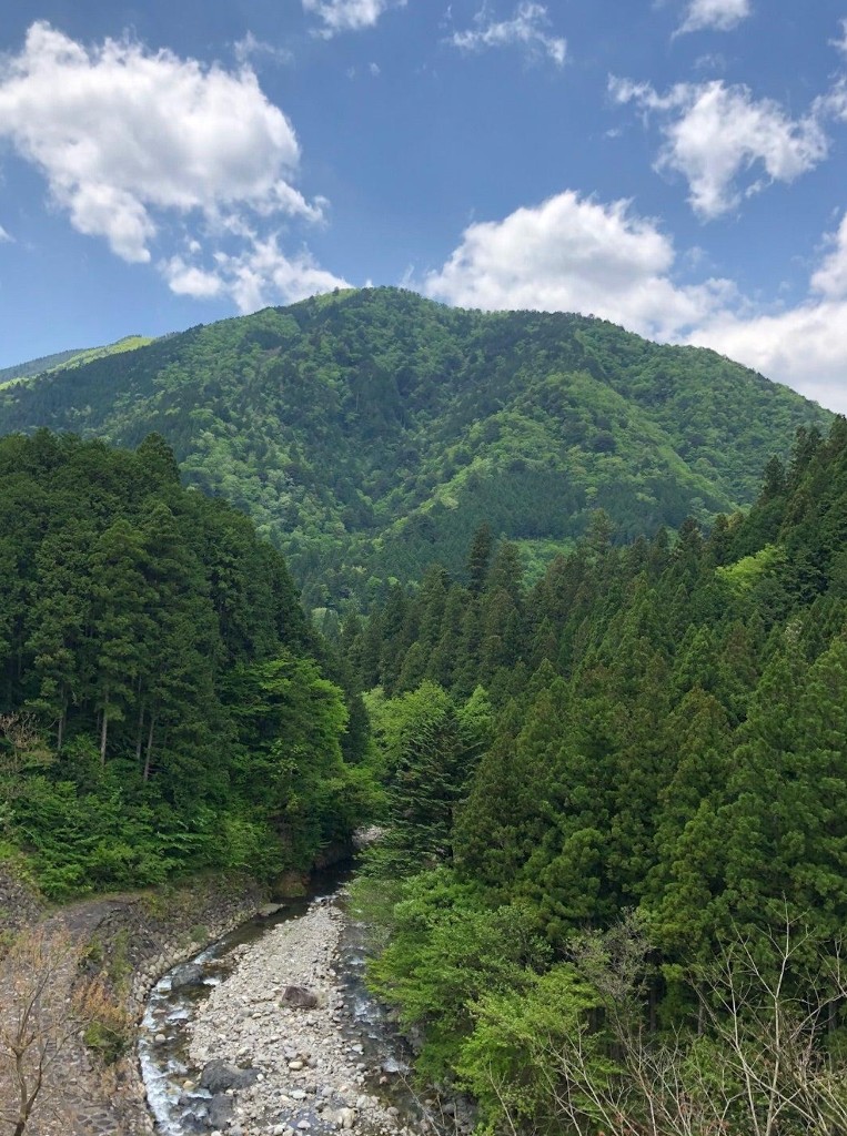 Vale com rio cercado por montanhas florestadas na região de Gifu — antiga província de Mino onde se desenvolveu outro tipo regional ancestral do Shiba Inu